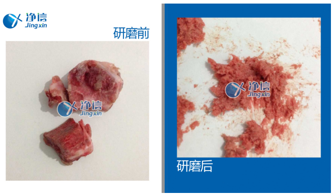 研磨破碎結(jié)締組織儀器:高通量組織研磨儀